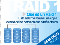 RAID 1