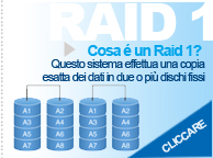 raid 1