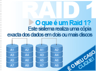 raid 1